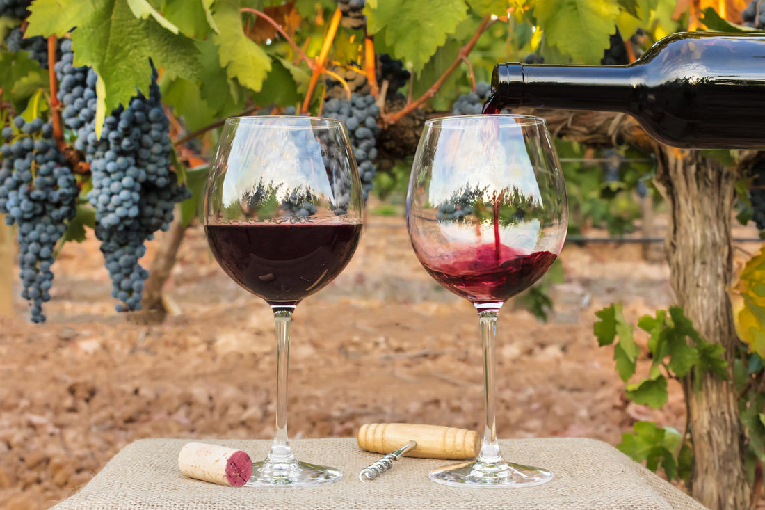 Uva Cabernet Sauvignon