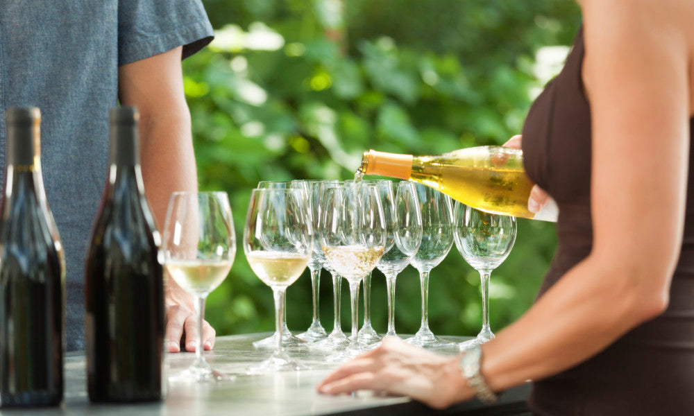 Episodio 20. Cata de vinos