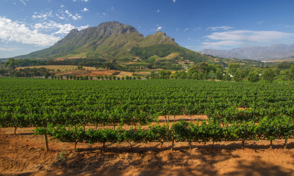 Episodio 30. Sudáfrica, su historia y sus vinos