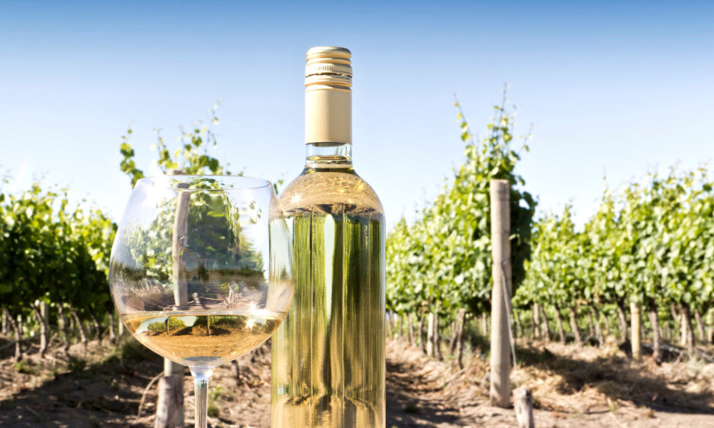Episodio 16. Vinos Blancos de Francia
